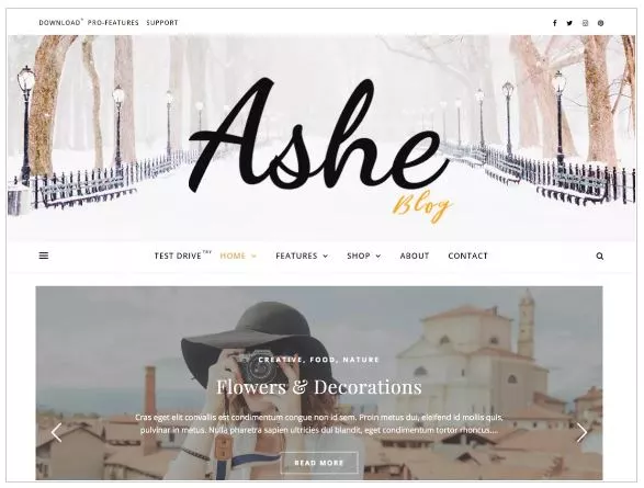 Free WordPress Themes for 2019 - Ashe