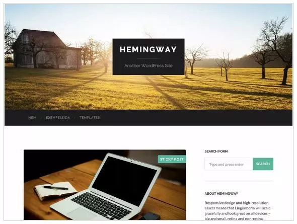 Free WordPress Themes for 2019 - Hemingway