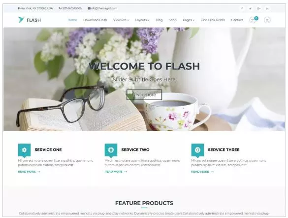 Free WordPress Themes for 2019 - Flash