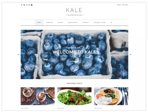 Free WordPress Themes for 2019 - Kale