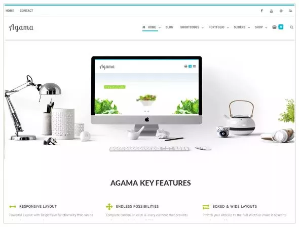 Free WordPress Themes for 2019 - Agama