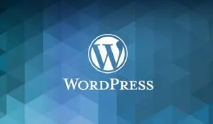 What is WordPress? And What Makes this CMS Popular?