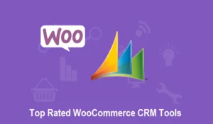 Top Rated WooCommerce CRM Tools