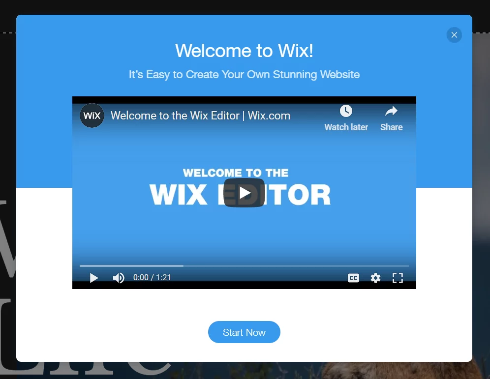 Wix Website Editor Tutorial Wix Vs WordPress