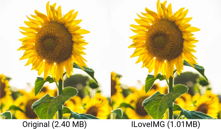ILoveIMG Comparison Optimize Images for WordPress