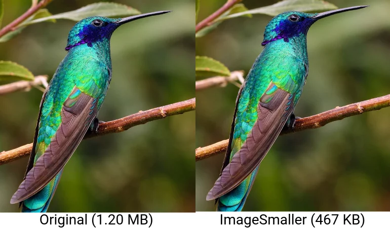 ImageSmaller Comparison Optimize Images for WordPress