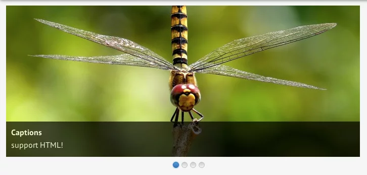 MetaSlider-screen WordPress Slider plugins