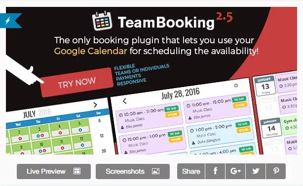 Team-Booking WordPress Booking Plugins