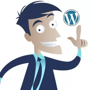 wordpress 6.3