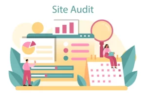 website audit